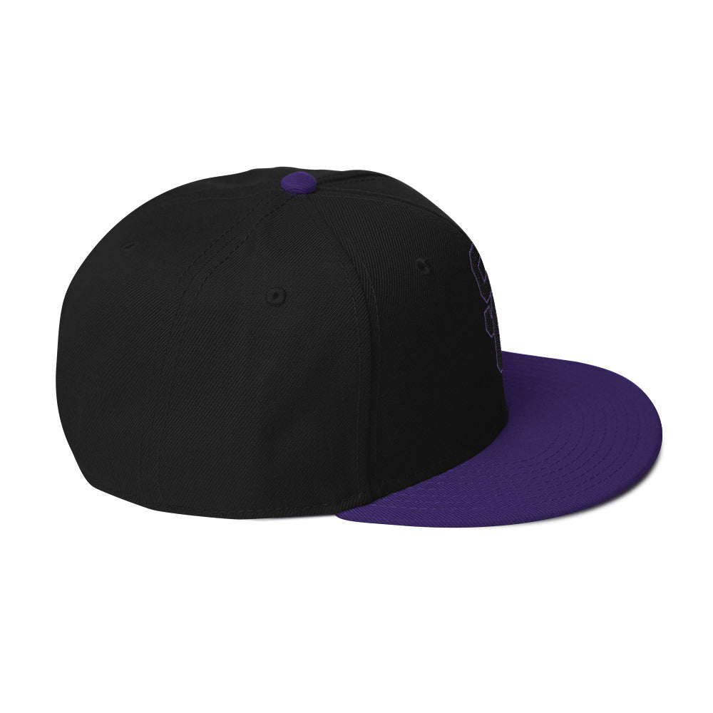 SC Black and Purple with Black Lettering Snapback Hat